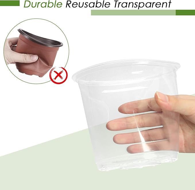 4/5/6/7 Inch Clear Nursery Pots - Image 5