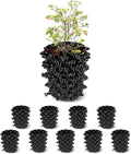 1 Gallon Air Pruning Containers, New Plastic Nursery Pots, Fruit Vegetable by RooTrimmer