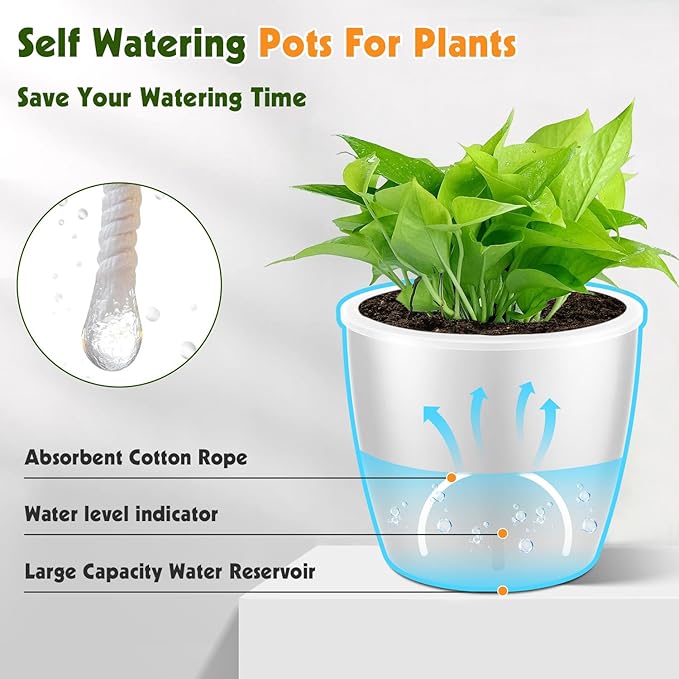 Self-Watering Pots for Indoor Plants, Small African Violet Pots - Image 7