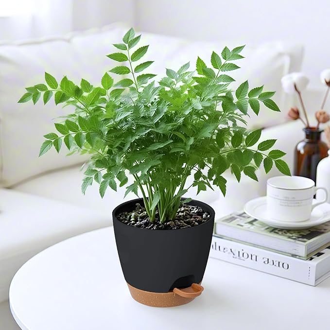 5-Pack Plant Pots with Drainage - Image 6
