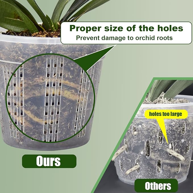 Orchid Pot with Saucers, 4 Each of 4.3", 5.5" Orchid Pots with Holes - Image 3