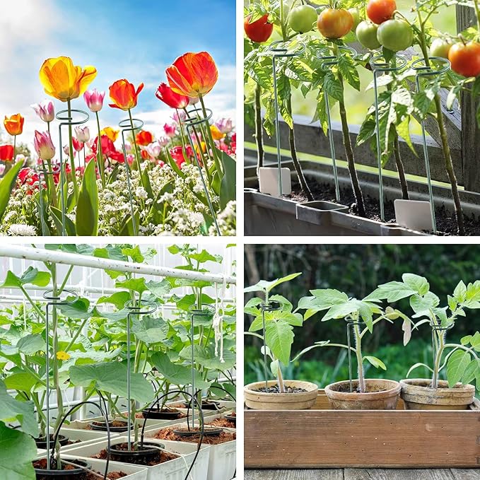 12 Pack 16 Inch Plant Support Stakes, Metal Single stemmed Flower Support - Image 5
