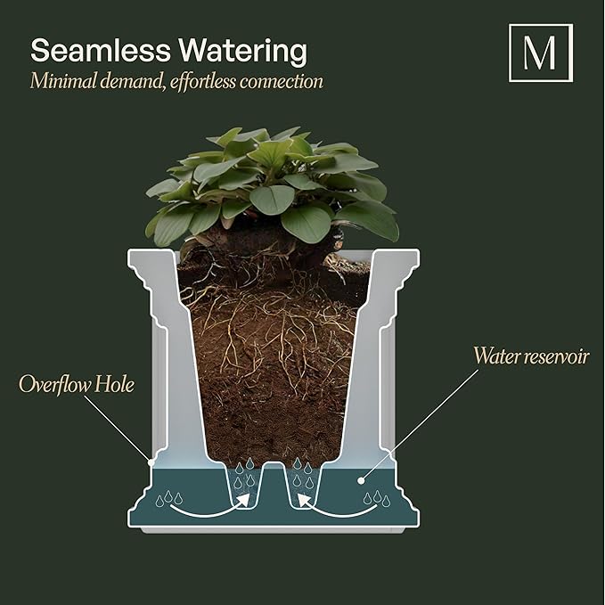 Mayne Fairfield 2-Foot Window Box – Self-Watering, Weather-Resistant Planter - Image 2