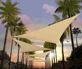 Amgo Custom Size 24' x 24' x 24' Beige Triangle Sun Shade Sail Order to Make by Amgo